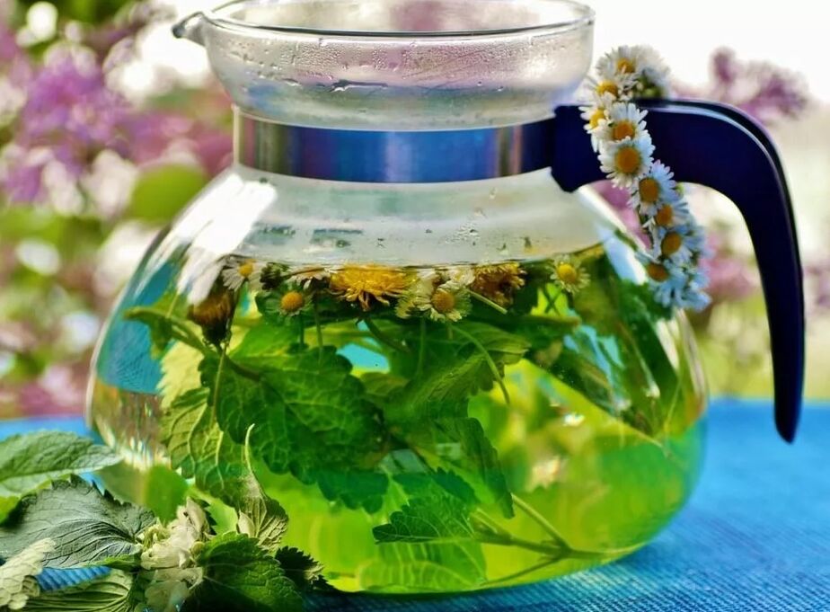 Infusão de coleta de ervas de varizes
